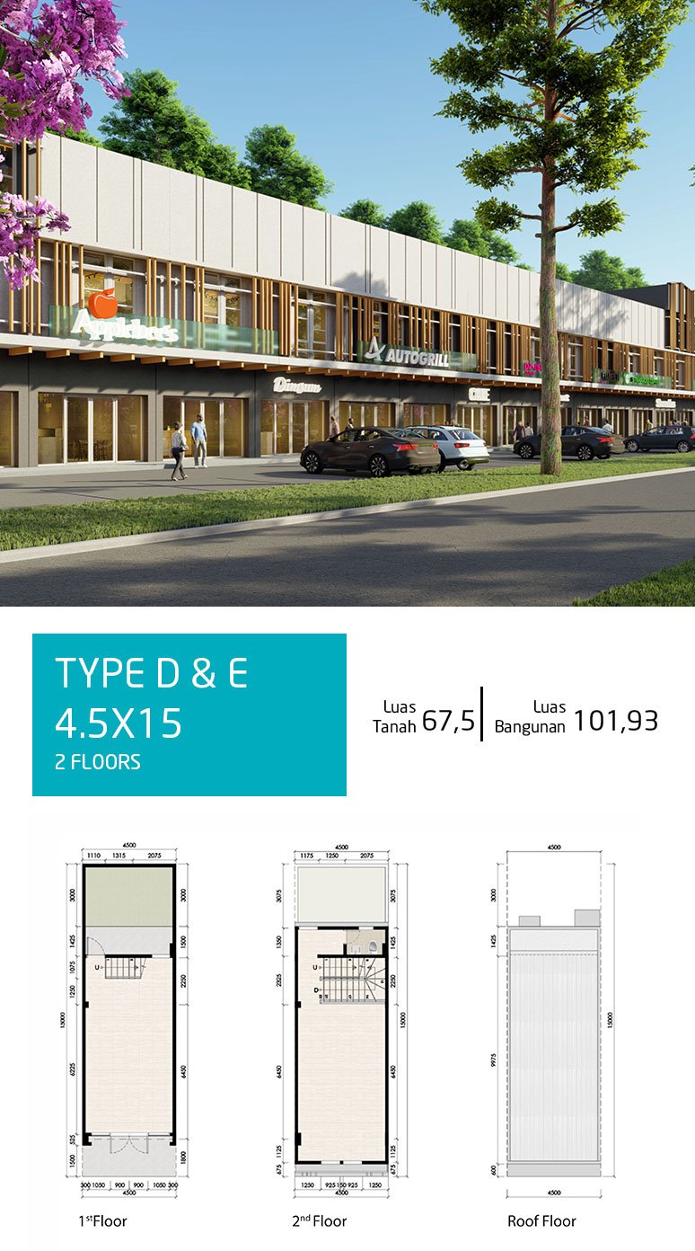 type-d-rev