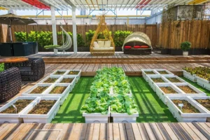 Inspirasi Taman Kecil Belakang Rumah